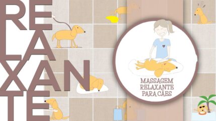 CURSO HÍBRIDO DE MASSAGEM RELAXANTE PARA CÃES