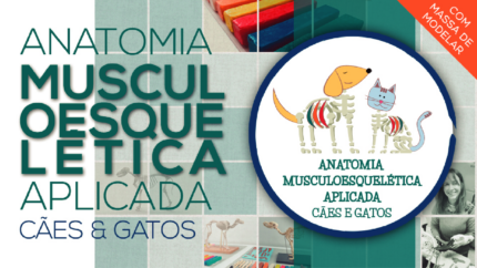 CURSO ANATOMIA MUSCULOESQUELÉTICA APLICADA CÃES E GATOS